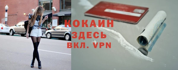 гидропоника Гусь-Хрустальный