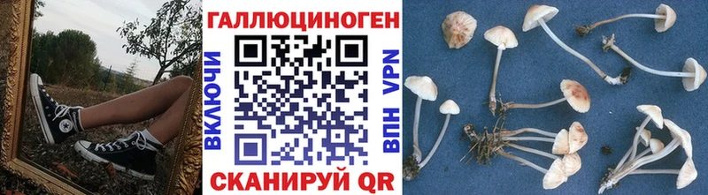 Купить закладки  Минусинск  Галлюциногенные грибы GOLDEN TEACHER 