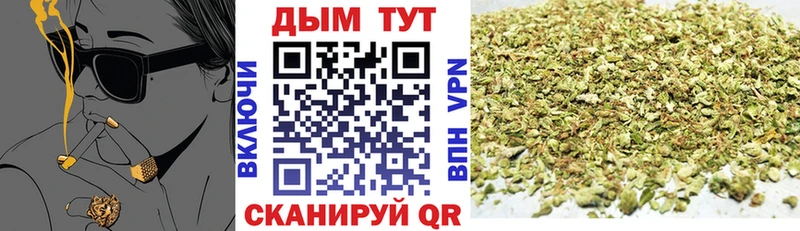 Канабис OG Kush  Купить где  Минусинск 